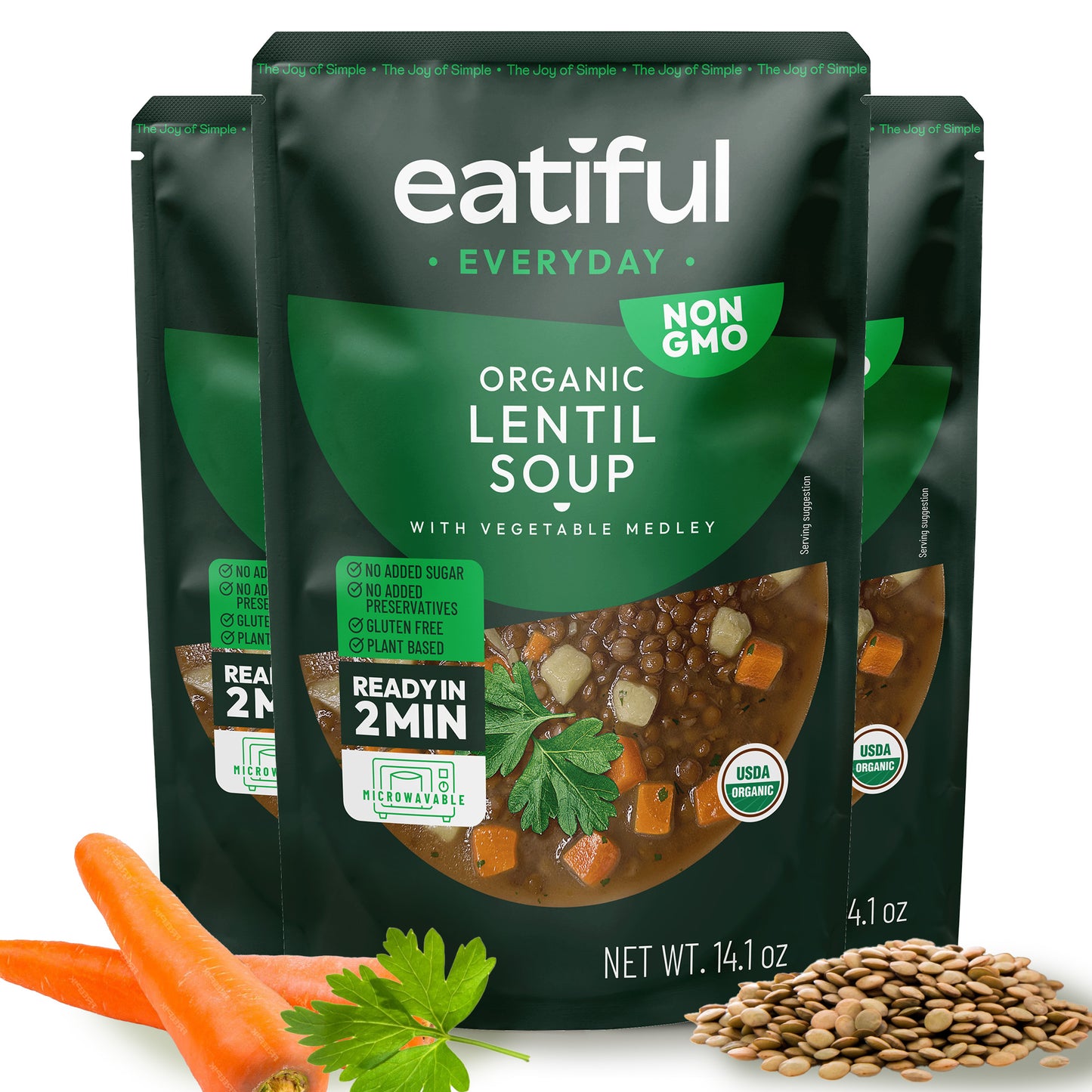 Lentil Vegetable Soup