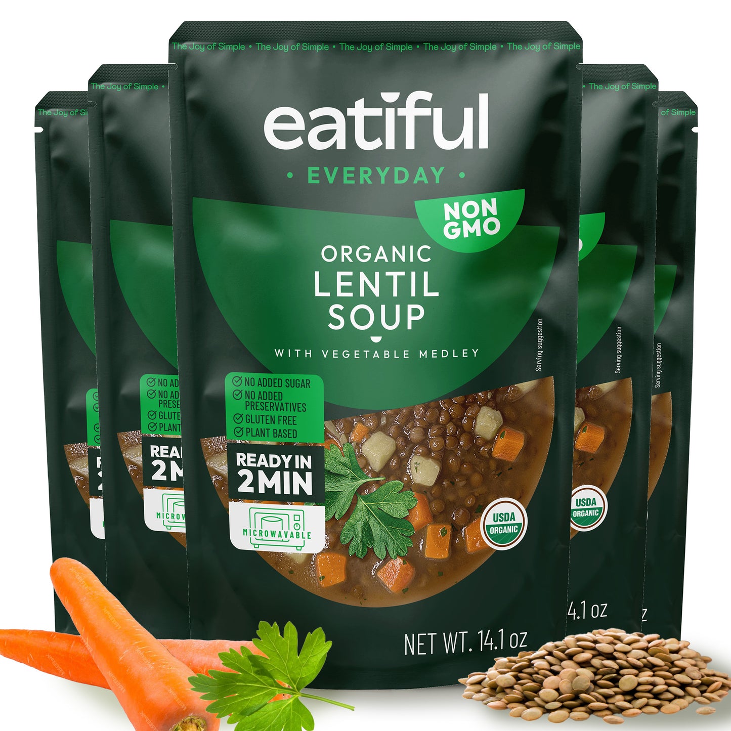 Lentil Vegetable Soup